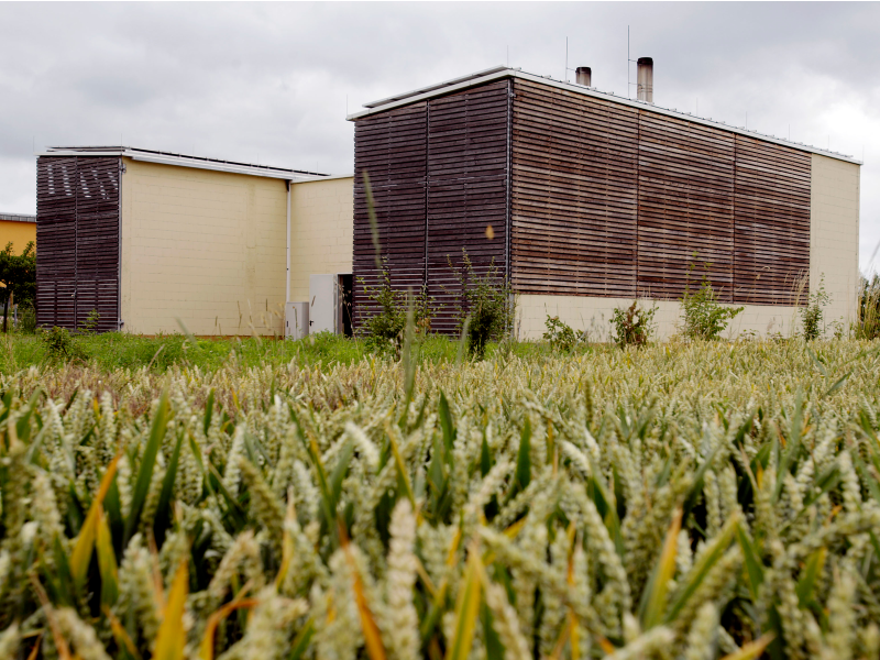Heizzentrale-in-Pflungstadt_1600 Zwei kleine Gebäude im Kornfeld: die Heizzentrale in Pfungstadt.